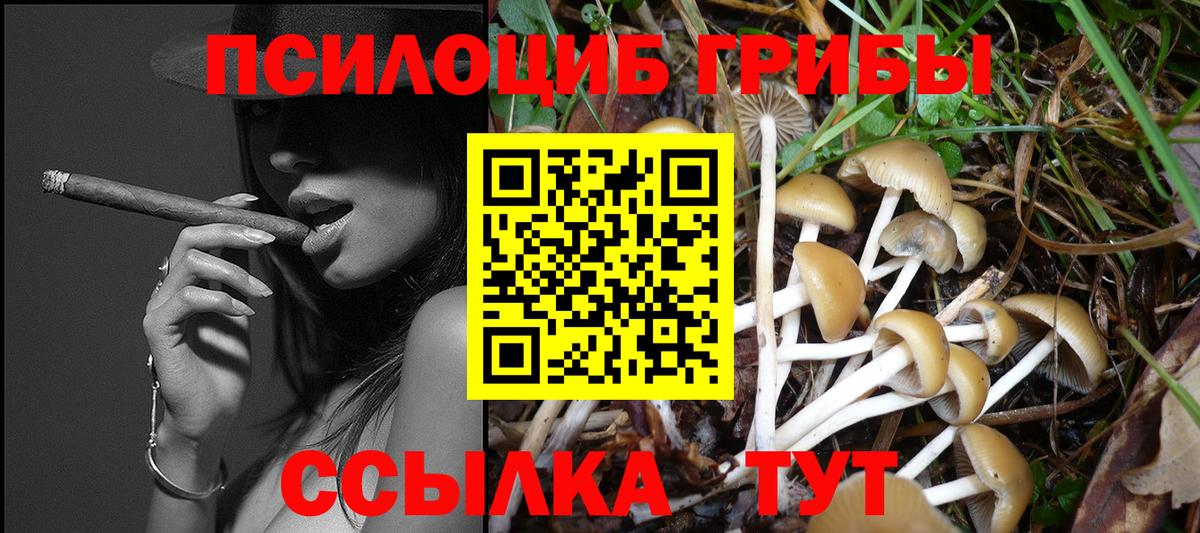 закладки  Галлюциногенные грибы Cubensis  Вход с VPN  Выборг 