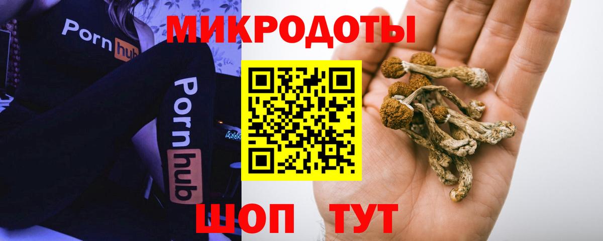 Галлюциногенные грибы Cubensis Выборг
